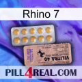 Rhino 7 41